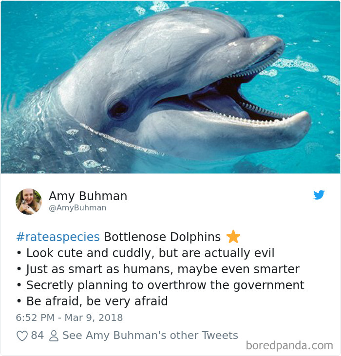 Amazon Animal Review