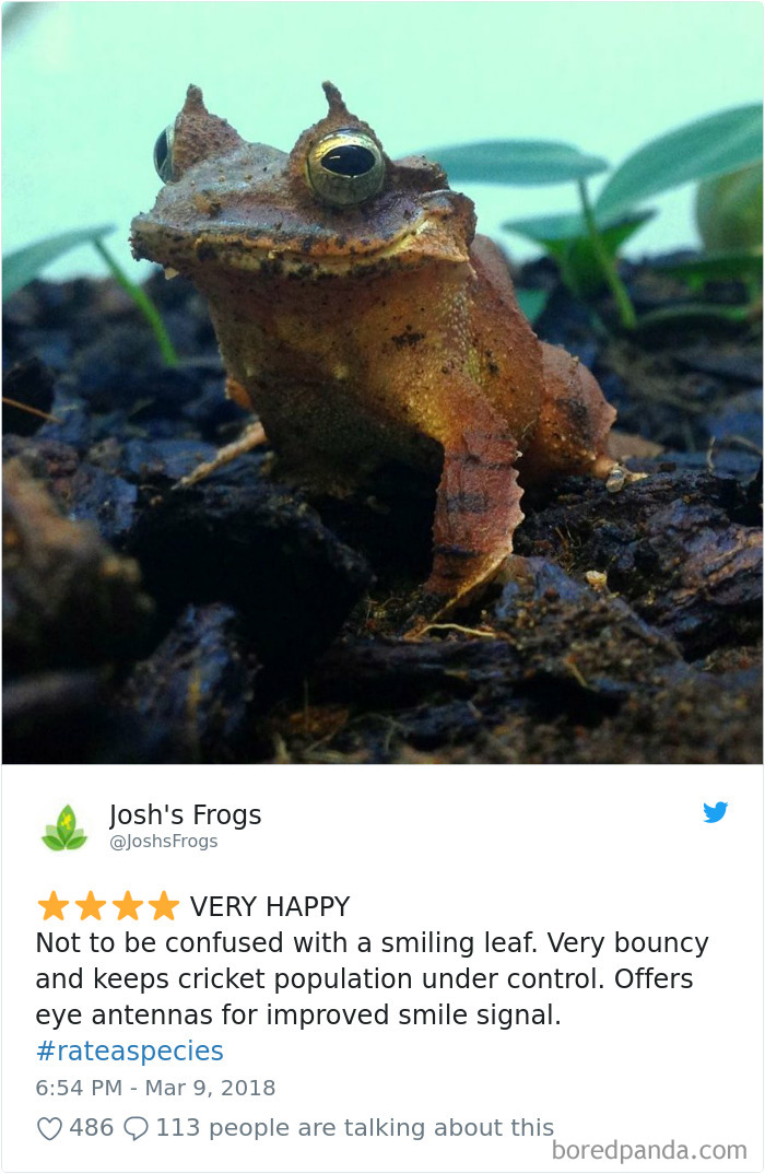 Amazon Animal Review