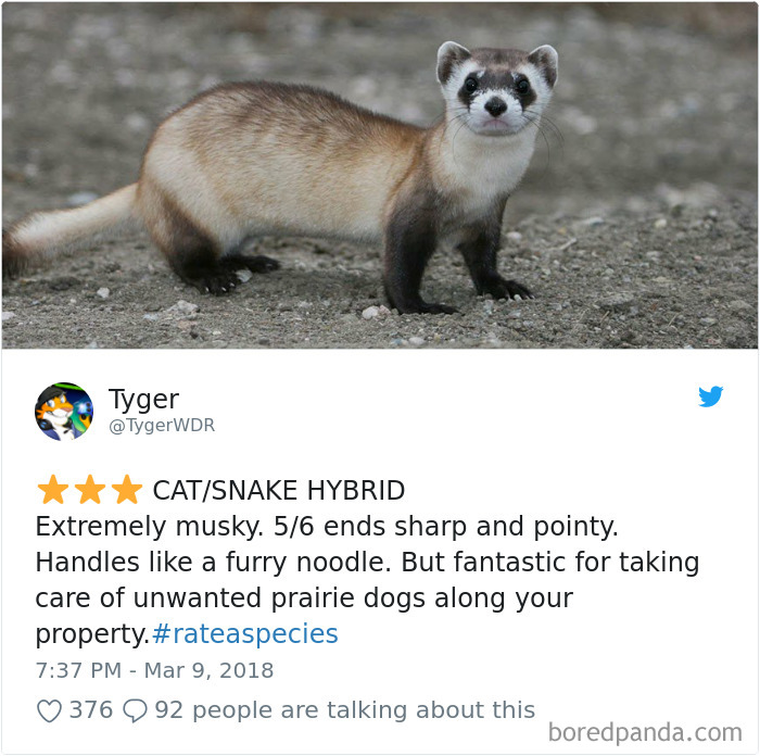 Amazon Animal Review