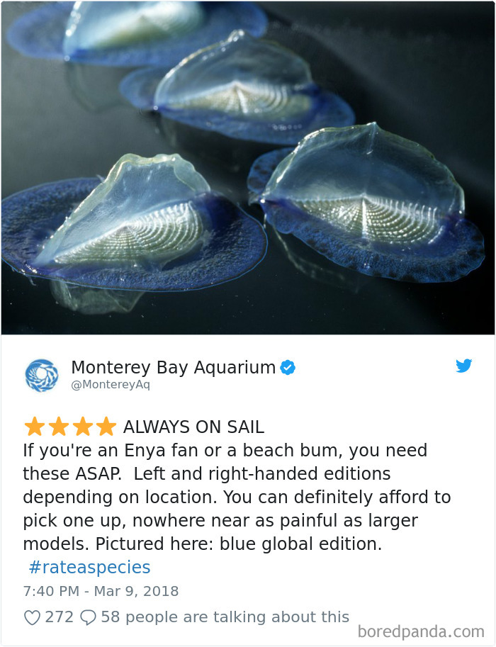 Amazon Animal Review