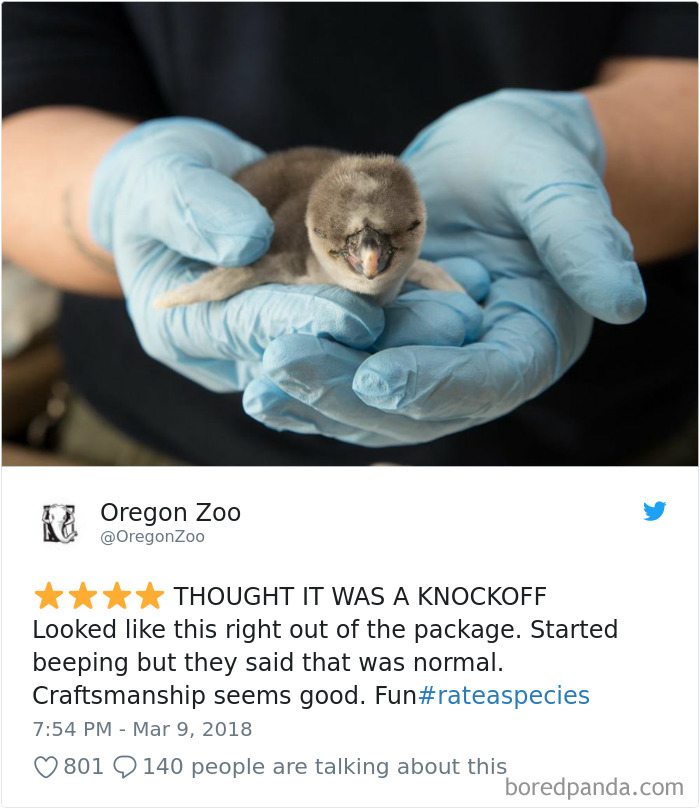 Amazon Animal Review