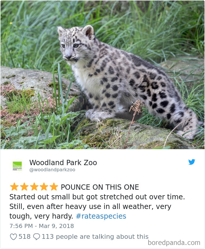 Amazon Animal Review