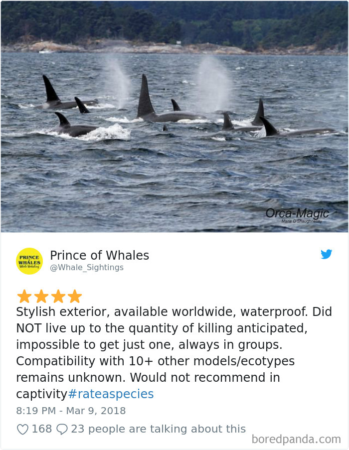 Amazon Animal Review