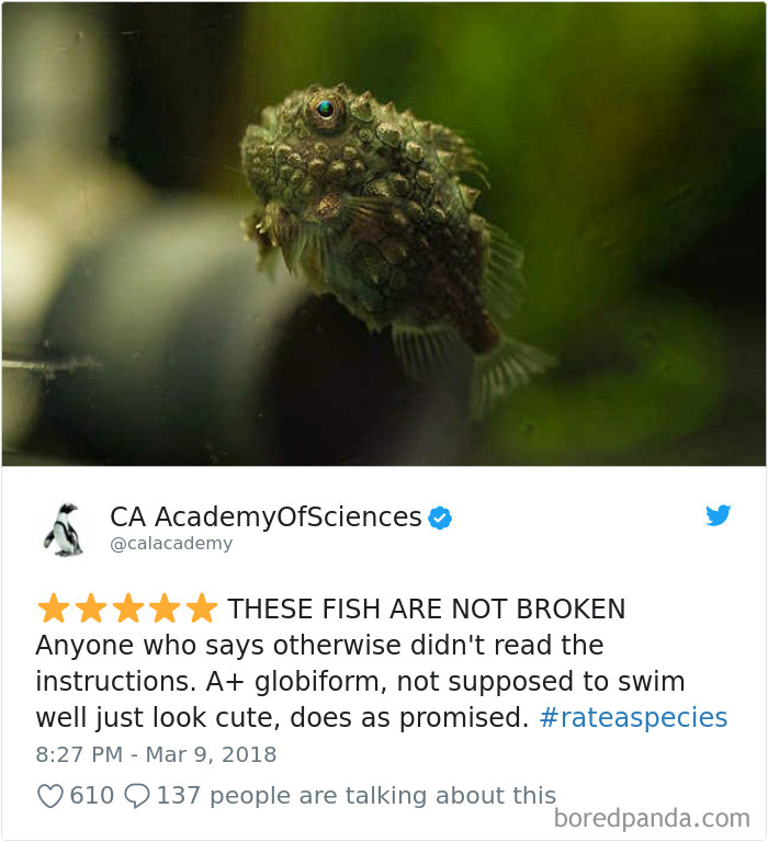 Amazon Animal Review