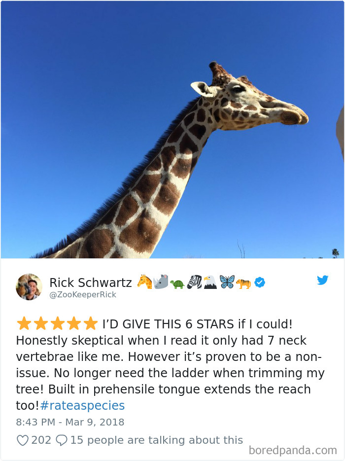Amazon Animal Review