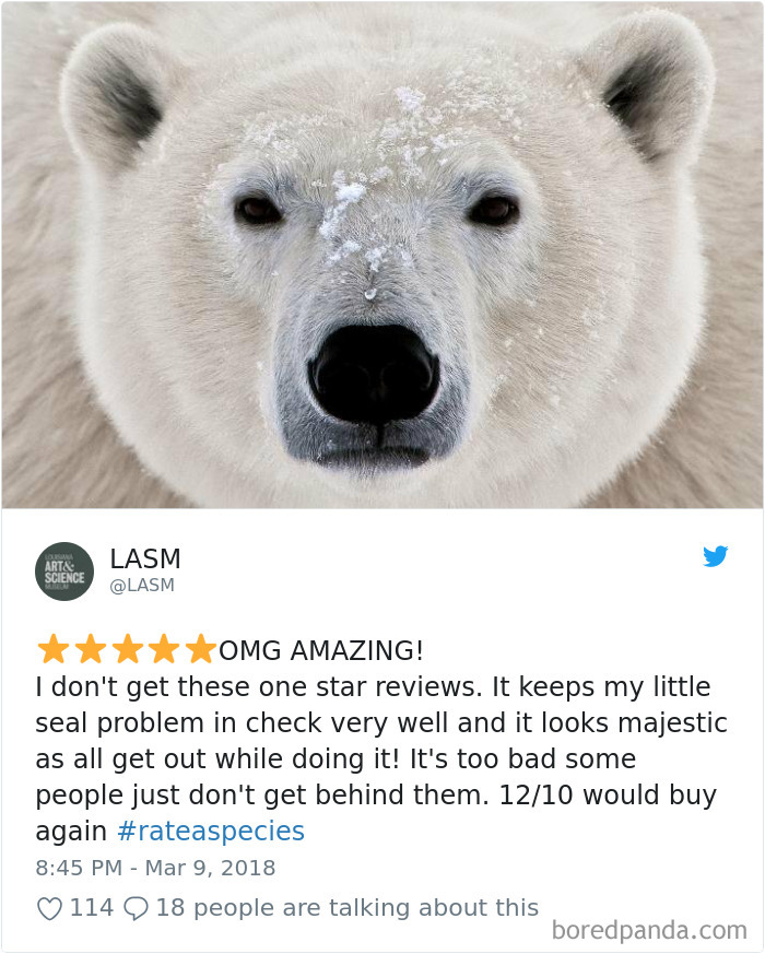 Amazon Animal Review