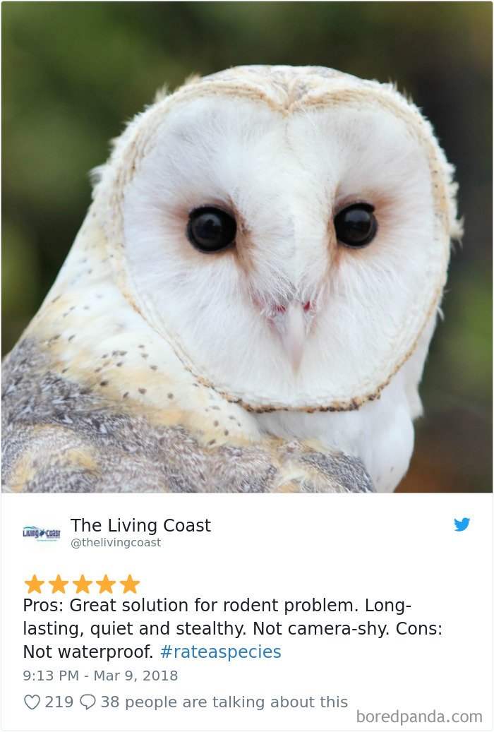 Amazon Animal Review