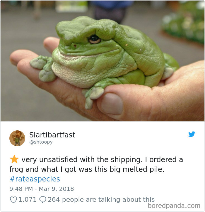 Amazon Animal Review