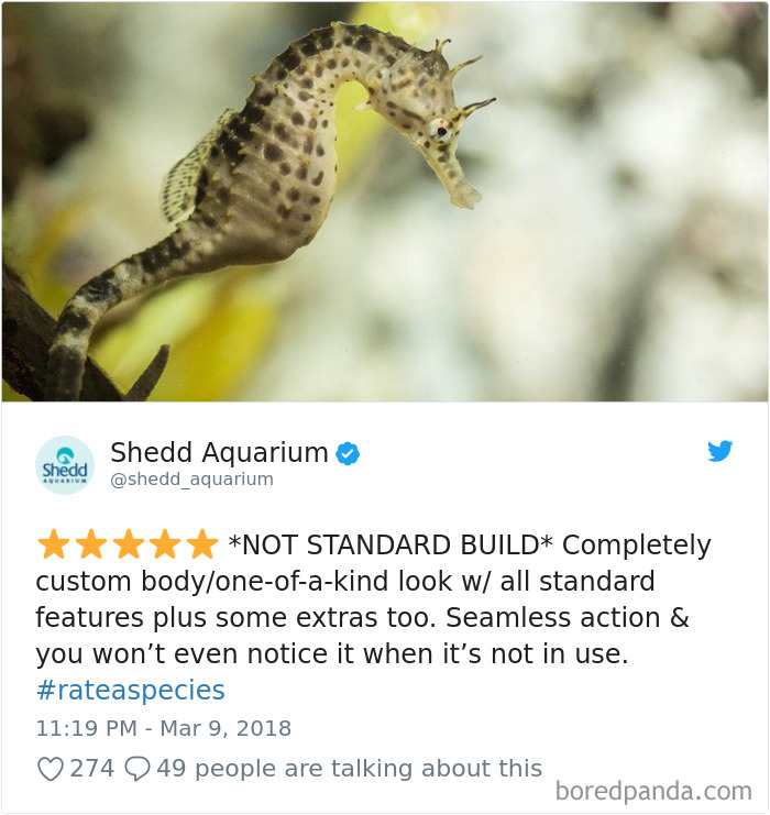 Amazon Animal Review