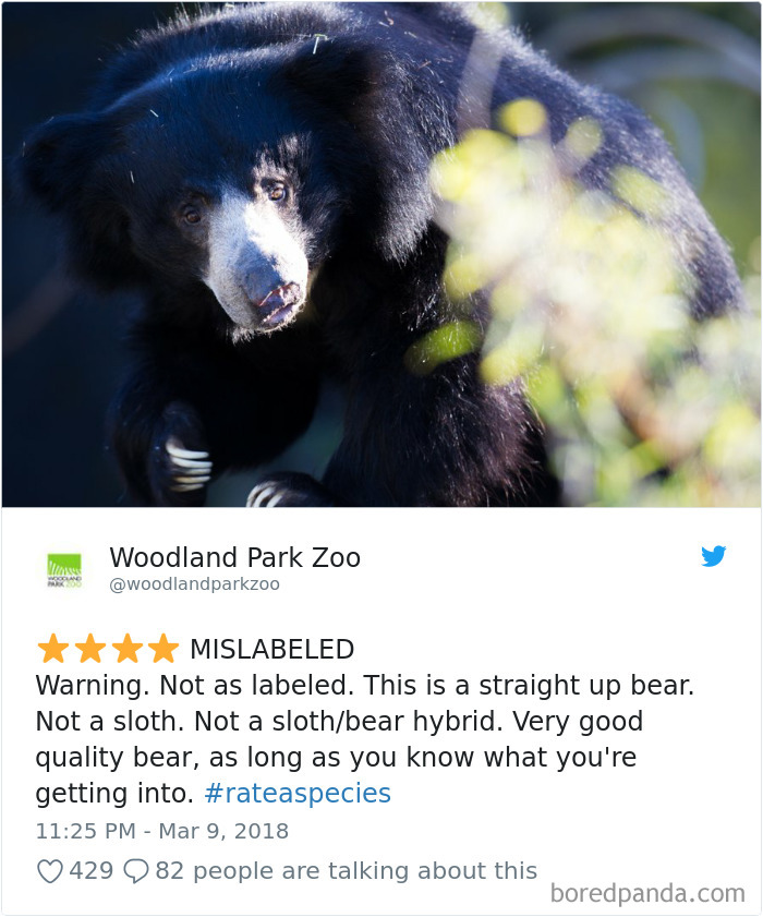 Amazon Animal Review