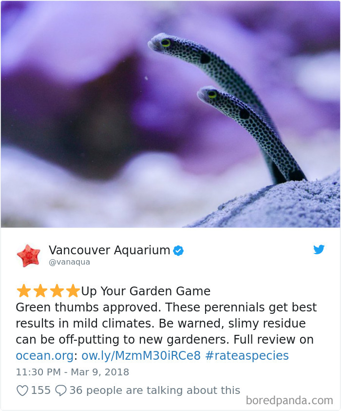 Amazon Animal Review