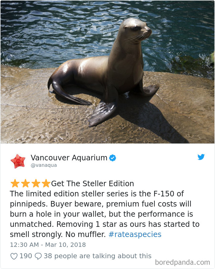 Amazon Animal Review