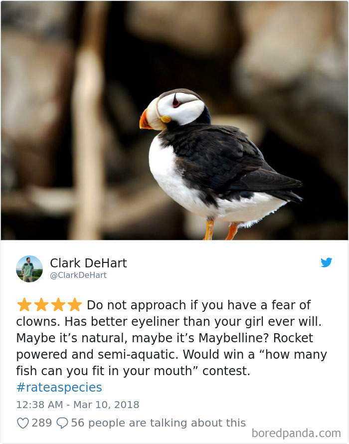 Amazon Animal Review