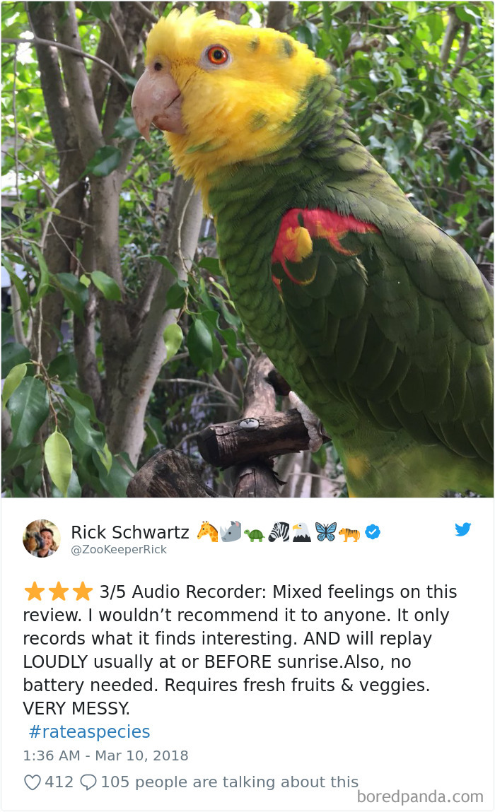 Amazon Animal Review