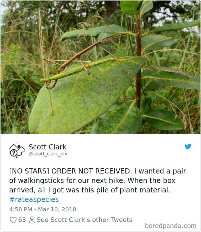 Amazon Animal Review