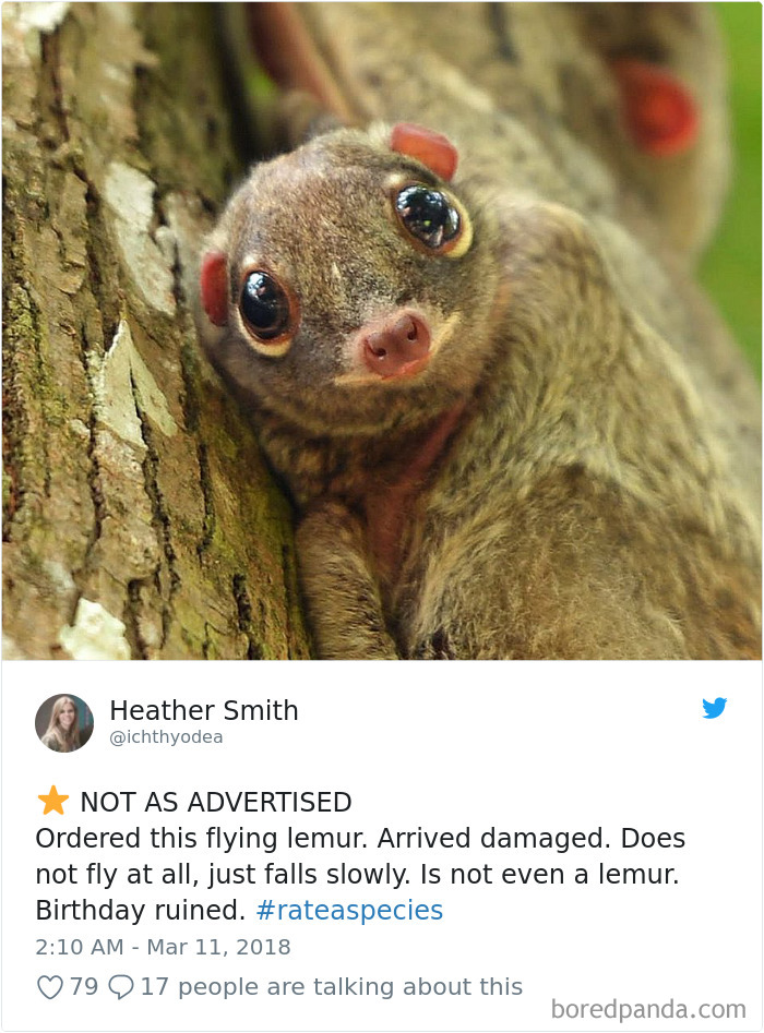 Amazon Animal Review