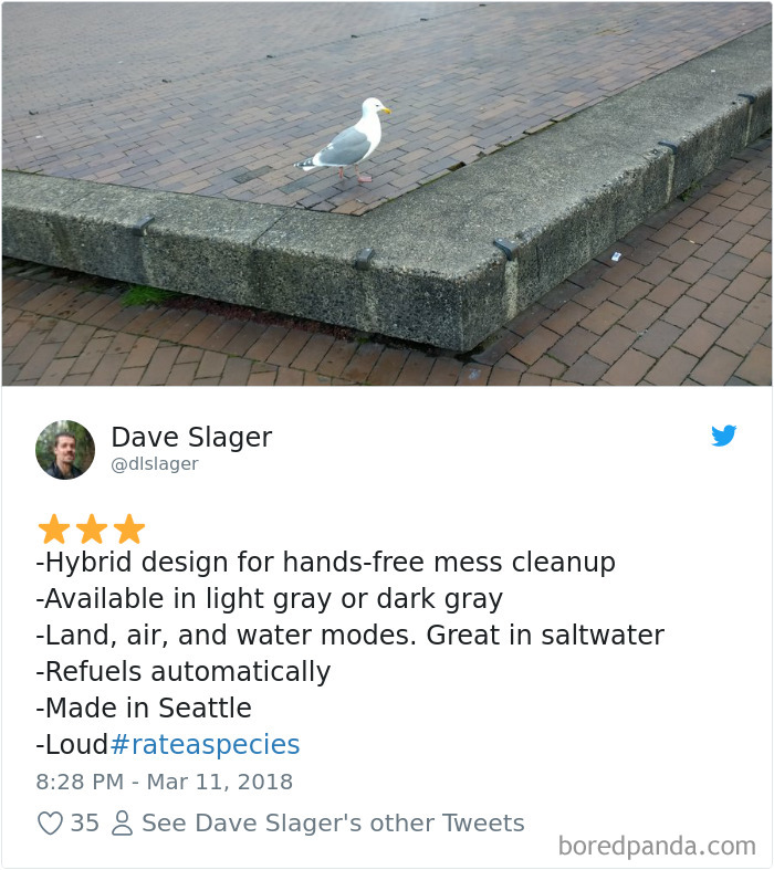 Amazon Animal Review