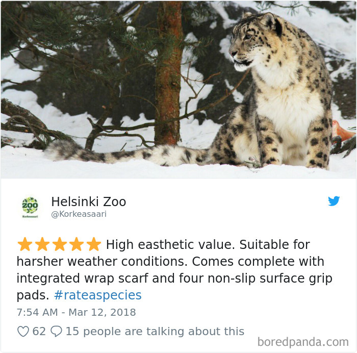 Amazon Animal Review