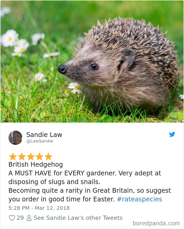 Amazon Animal Review