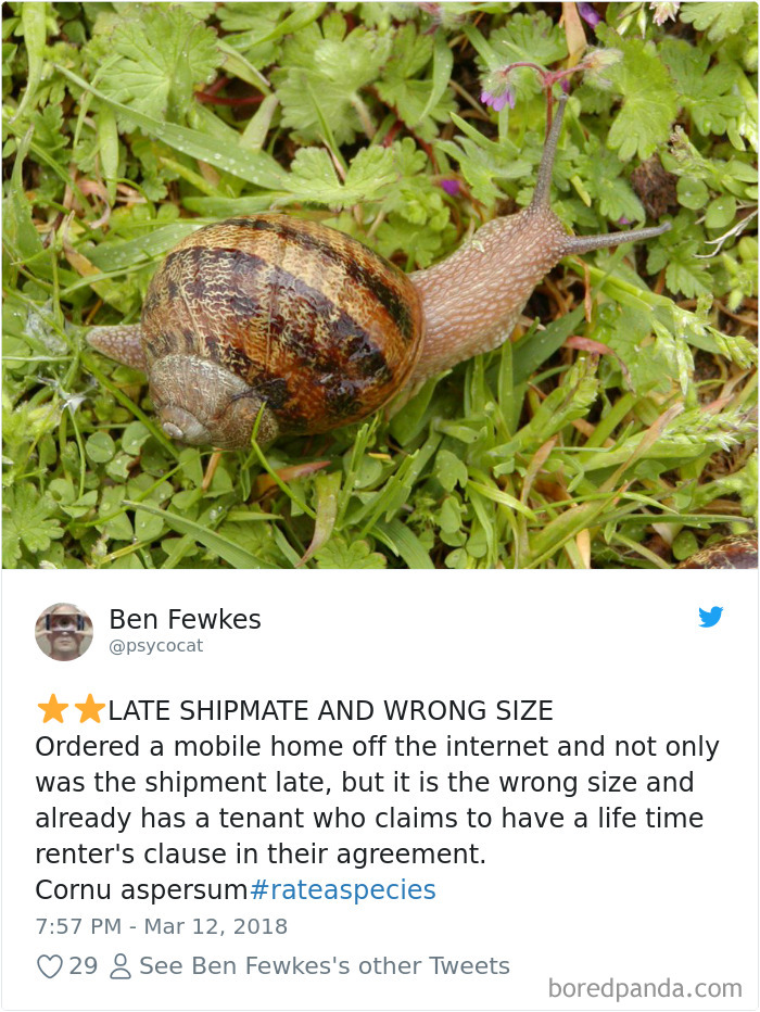 Amazon Animal Review