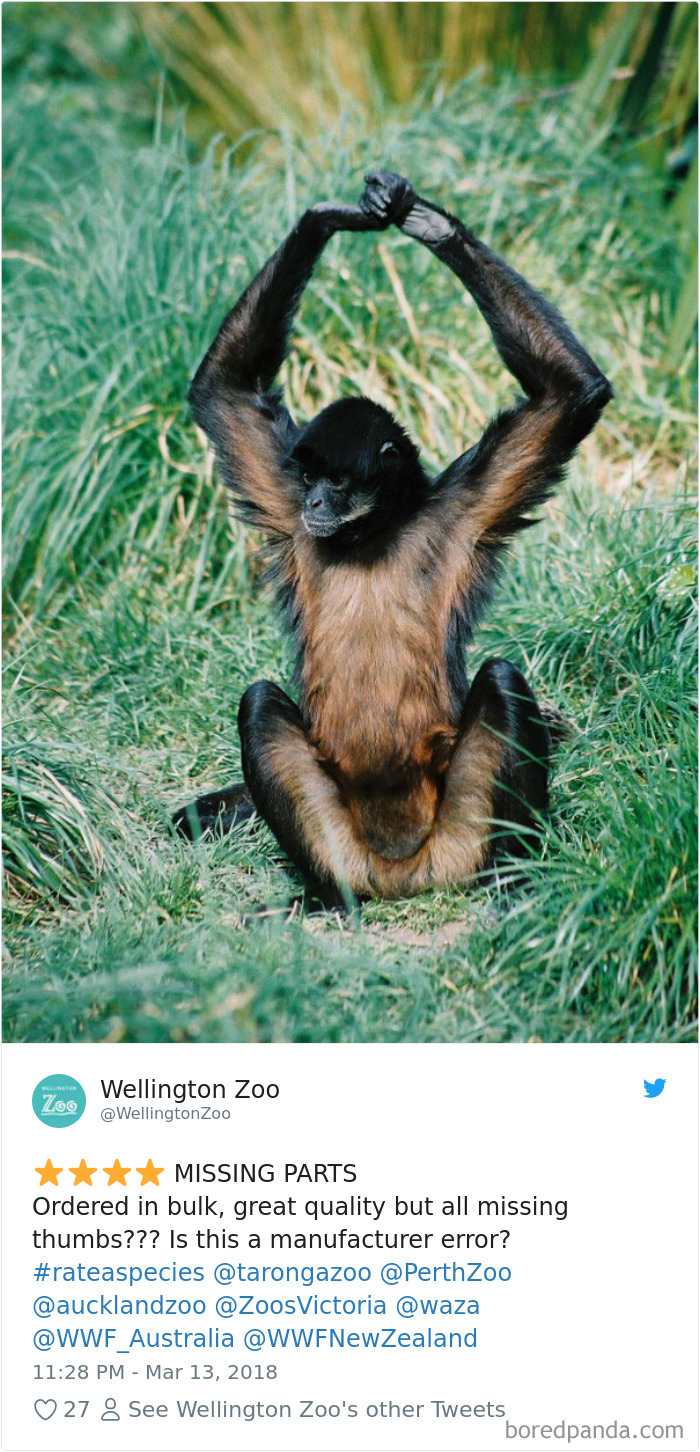 Zoos Post Animal Reviews On Twitter And They Are Hilarious
