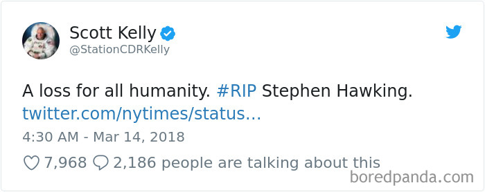 Stephen Hawking Tribute