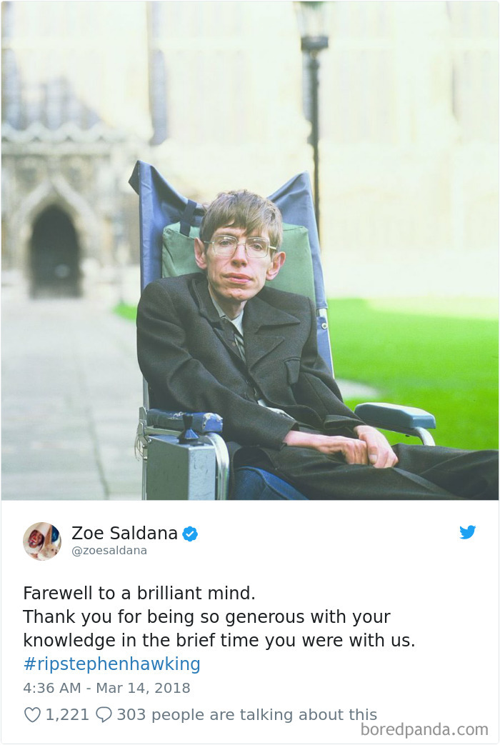Stephen Hawking Tribute