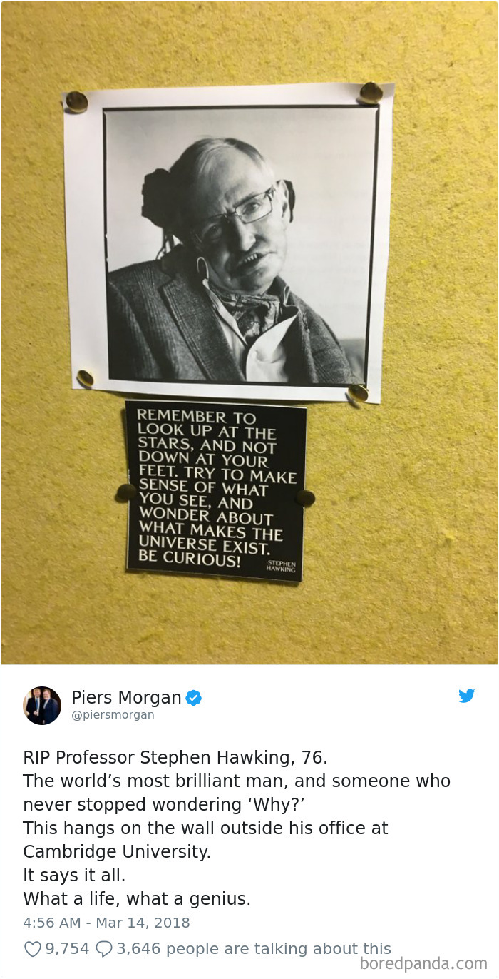 Stephen Hawking Tribute