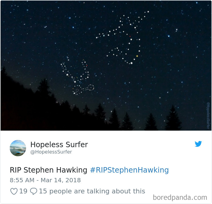 Stephen Hawking Tribute