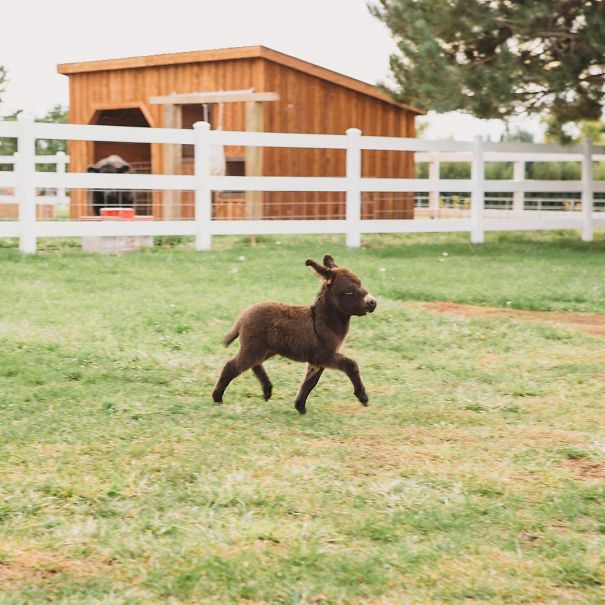 Get Out There And Make Today A Great Day!