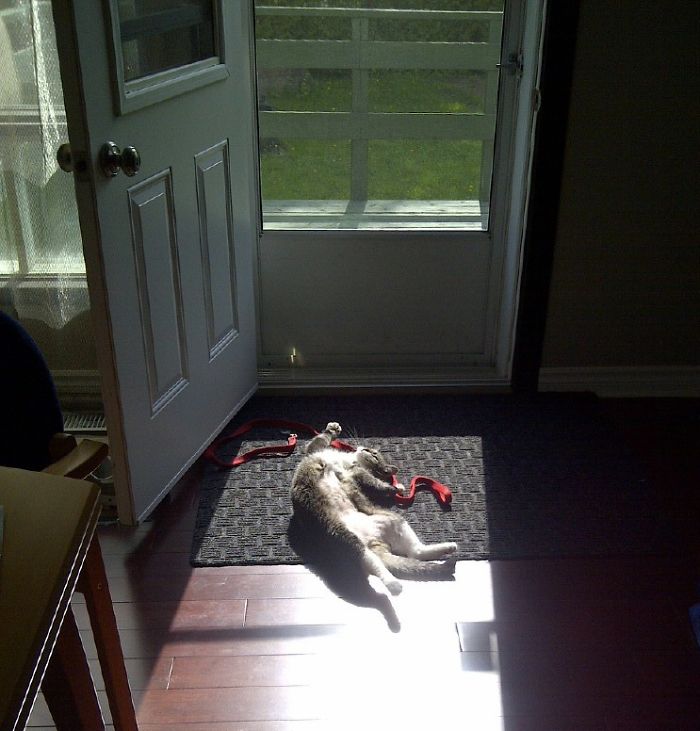 Ambra And The Sun. Here Comes The Sun....