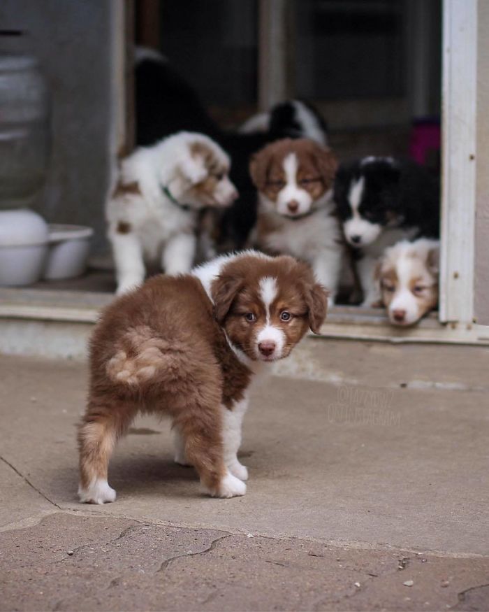 Look At This Cute Butt