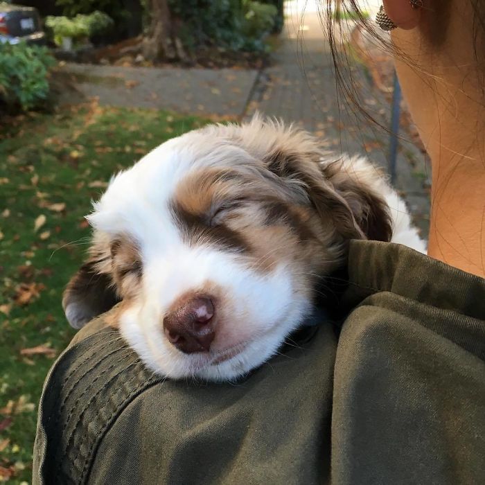 Sometimes Walking Is Hard, But I'm Always Happy When Mom Carries Me The Rest Of The Way