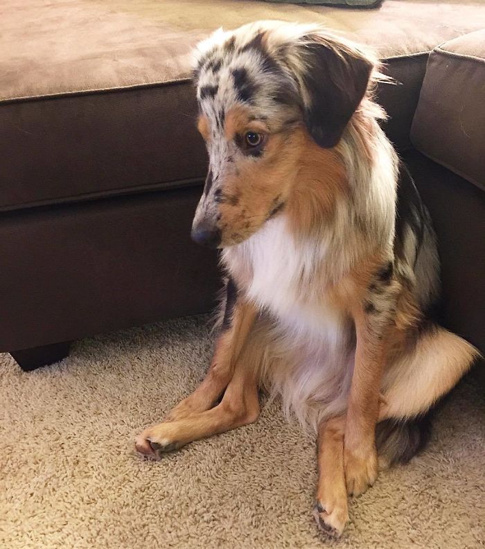 Thinking About Life And How I Have No Friends...