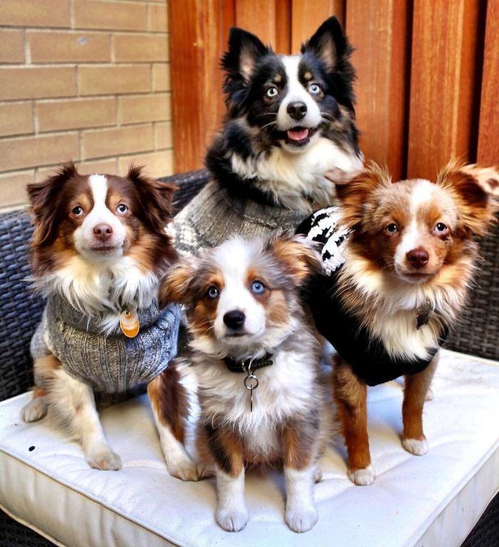 Preview Of This Year's Christmas Card