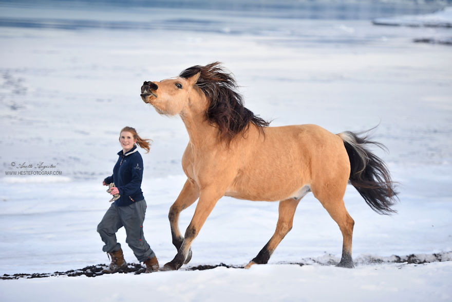If Disney's Spirit: Stallion Of The Cimarron Moved To Norway