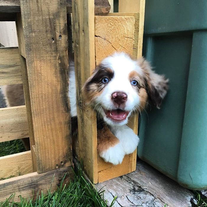 The Beginning Of My Escape Artist Days