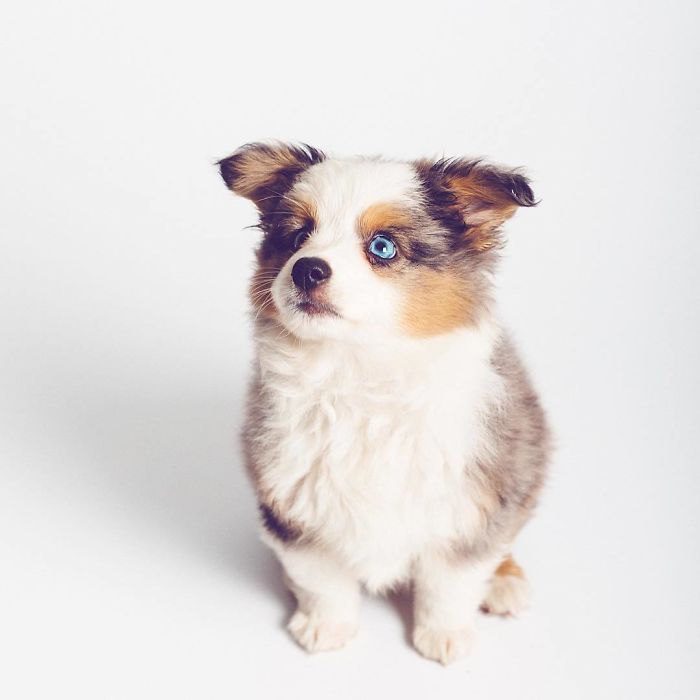 Everyone Loves A Baby Derp-Face