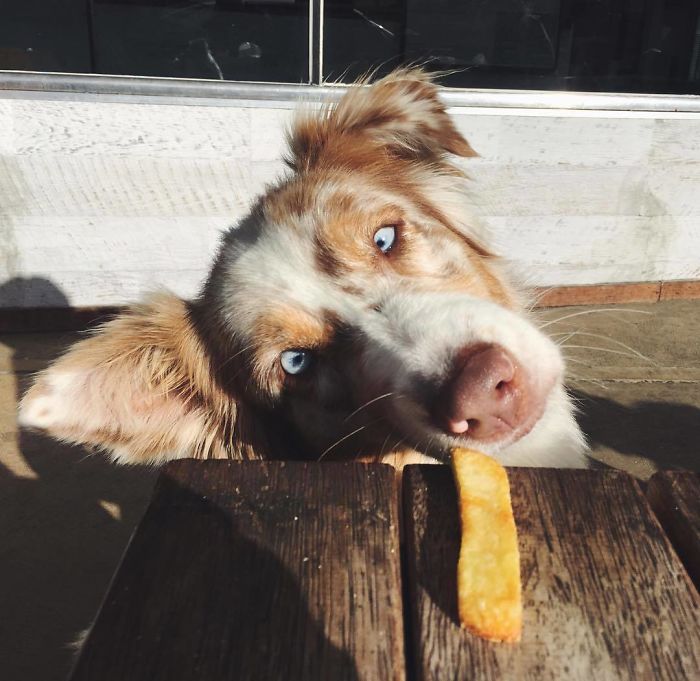 Would Go Cross Eyed For A Chip