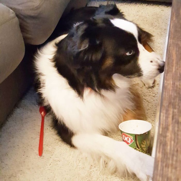 Caught Red Spooned And Won't Even Make Eye Contact