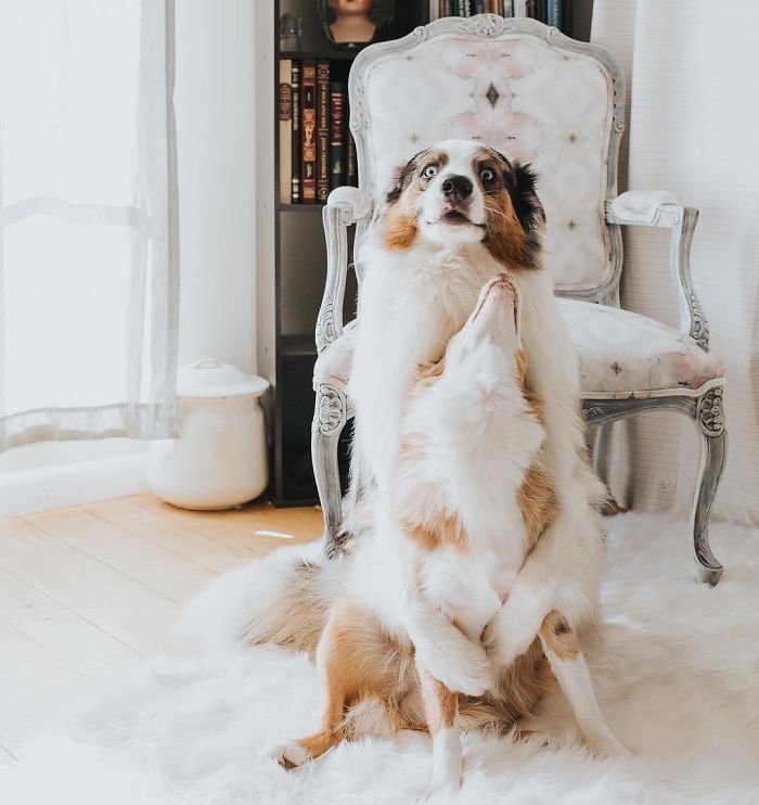 When Mom Says 'Hug Your Brother' But You Look Really Awkward While Doing It