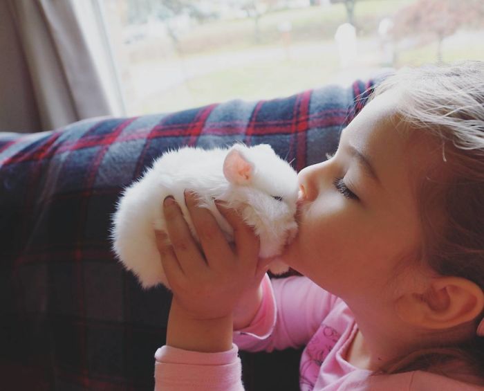 Baby-Rabbits-Palms-Blue-Clover-Rabbitry