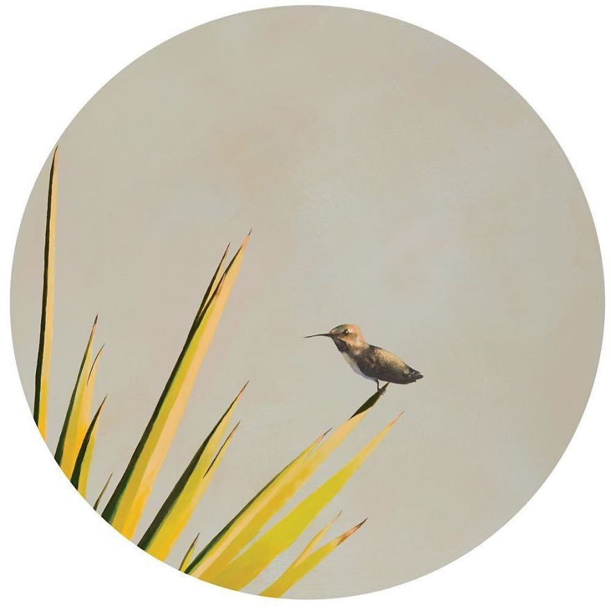 Slow On The Uptake, Quick With The Dick Pics