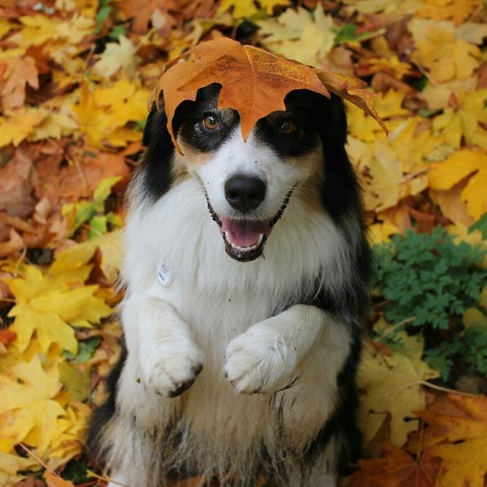 The Snow Is All Gone And It's Back To Looking Like Fall Again