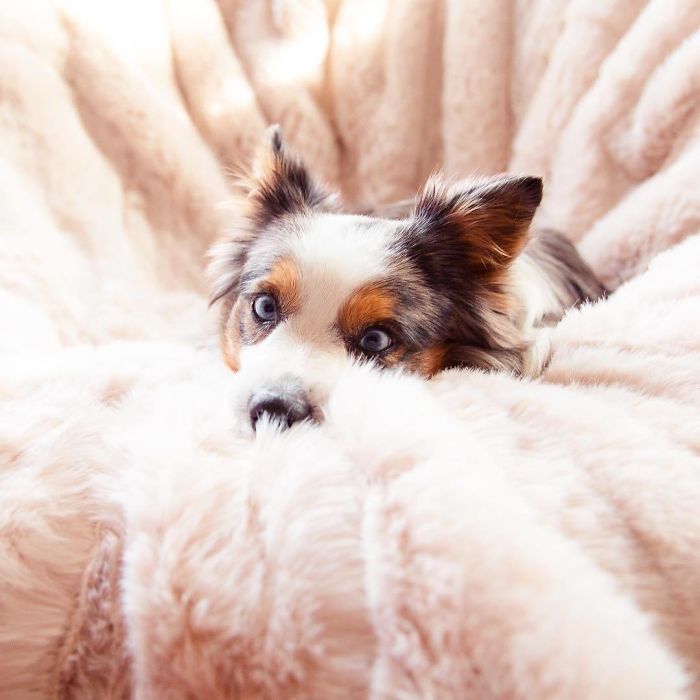 Is It Turkey Day Yet?