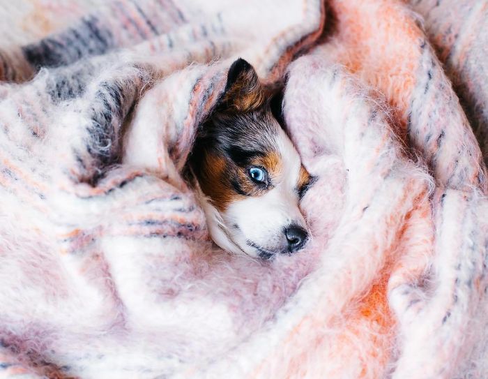 Days When You Get To Wake Up Naturally With The Sun And Not An Alarm Clock Are Pretty Magical