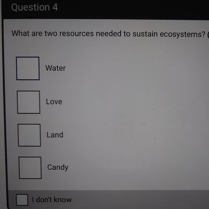 Obviously Love And Candy