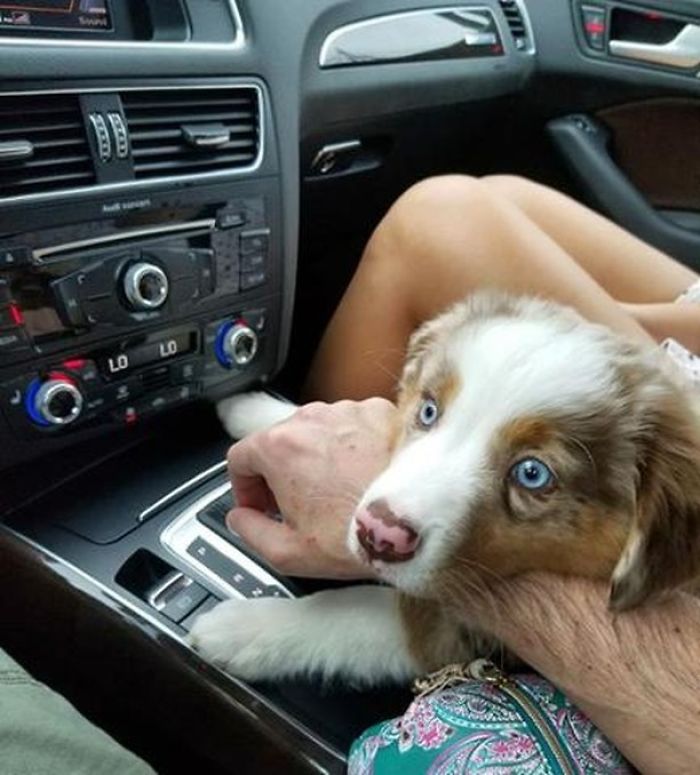 Riding In Style With The Parents