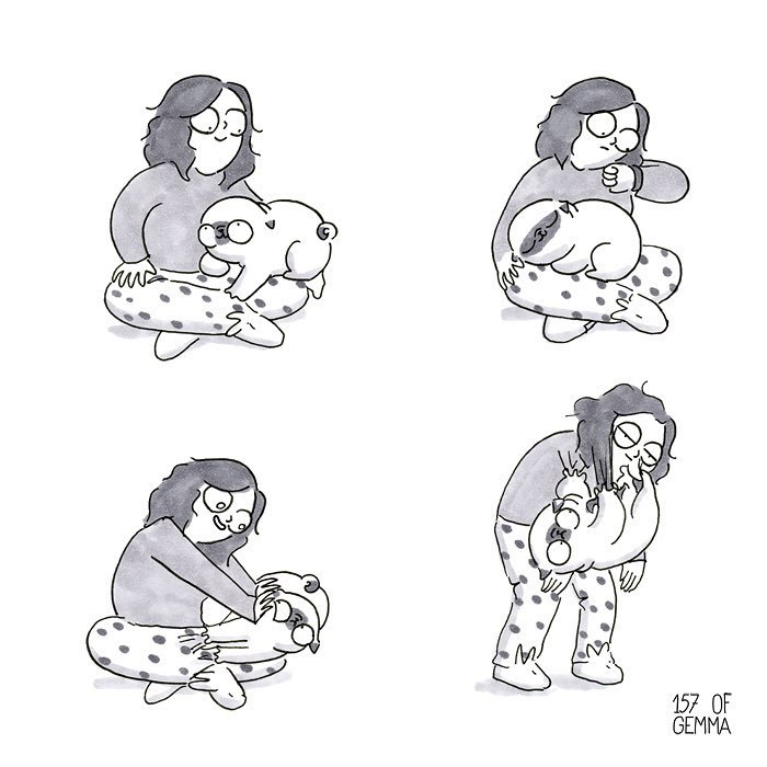 Pug-Mochi-Comic-Gemma-Gene-157ofgemma