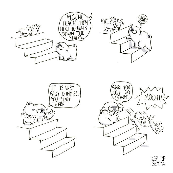Pug-Mochi-Comic-Gemma-Gene-157ofgemma